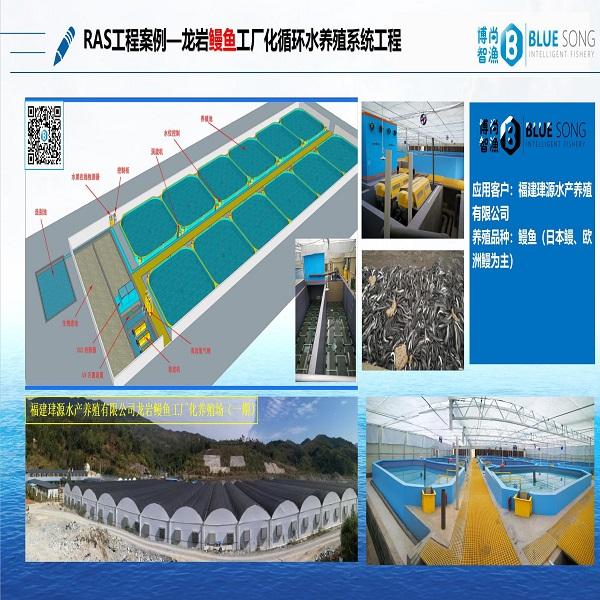 工廠(chǎng)化鰻魚(yú)RAS系統(tǒng)工程