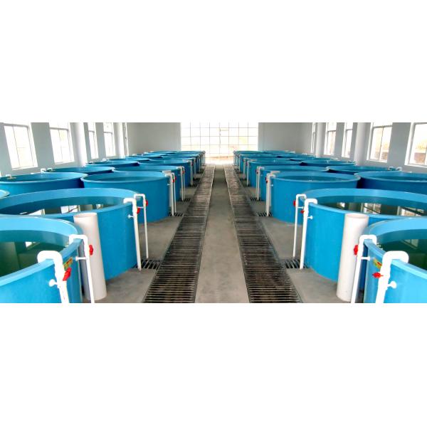 玻璃鋼養(yǎng)殖桶